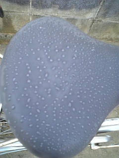 �܂�����������