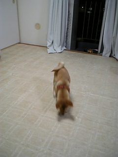 ���z����