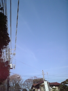 �����V�C����