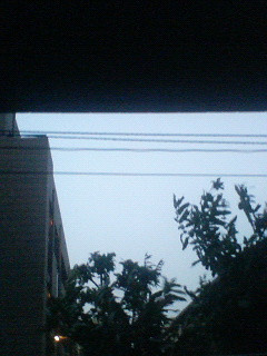 ���傗����