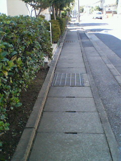 �N�\����