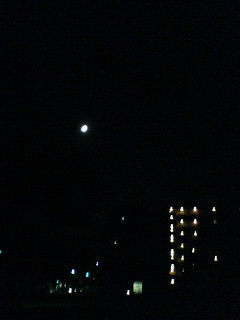 ����΂��