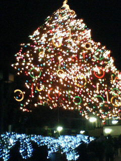 �^���n��ɂ�