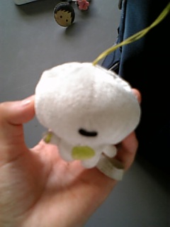 �J�G���̂ʂ������