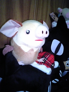 �ʂ������