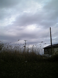 ���������c