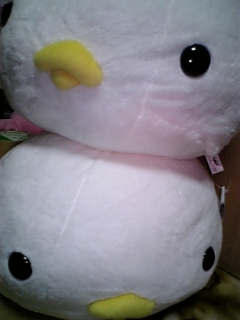 �Ȃ܂����̂���