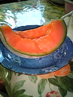 �Ⴂ��������