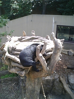 ��쓮����