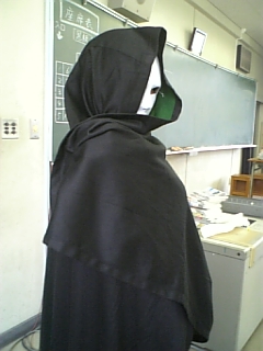 �����Տ���